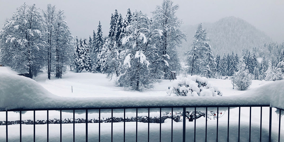 Schnee im Garten - was sollte man dagegen unternehmen?