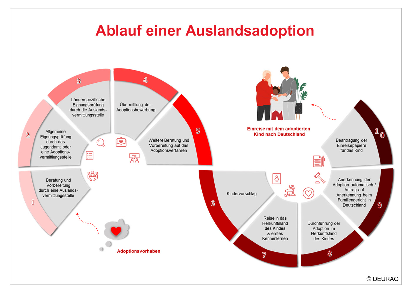 Infografik zum Ablauf der Auslandsadoption